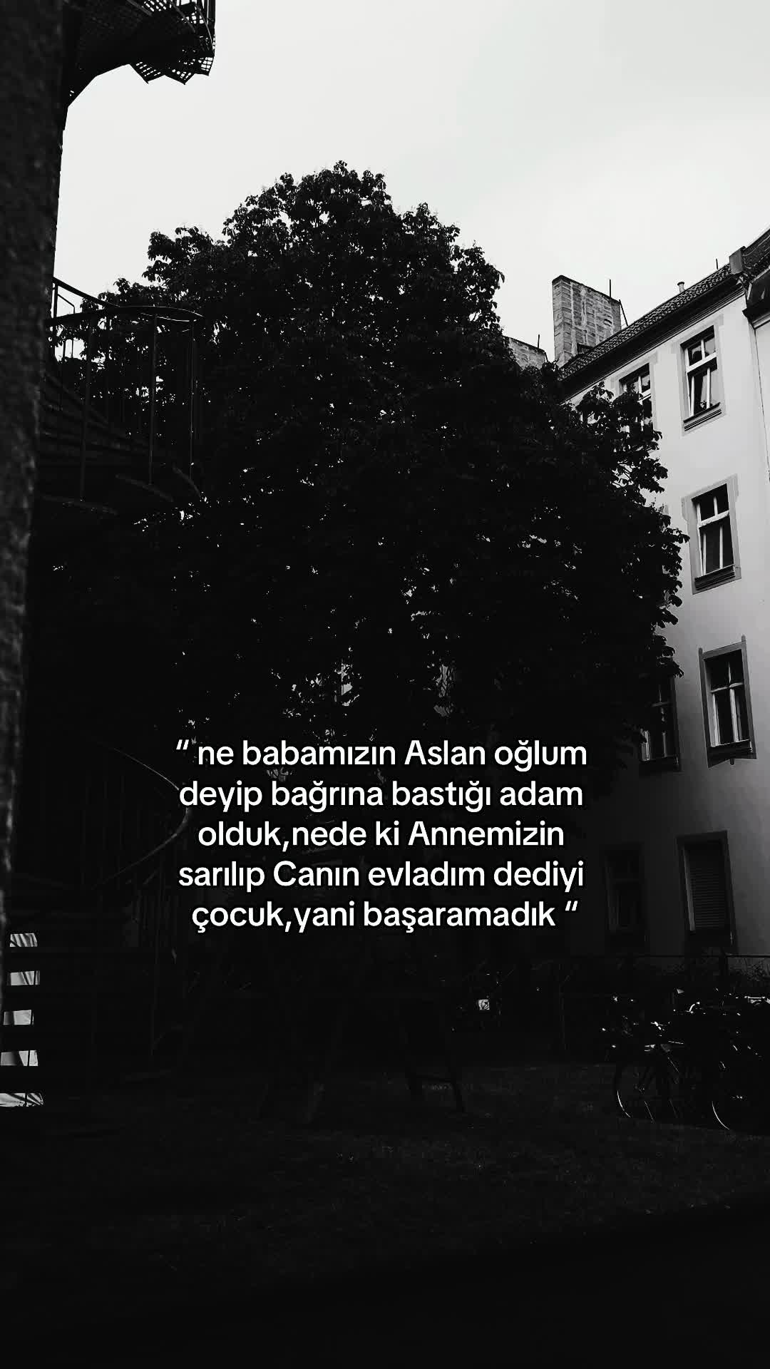 @ʙᴇʀʟɪ̇ɴ