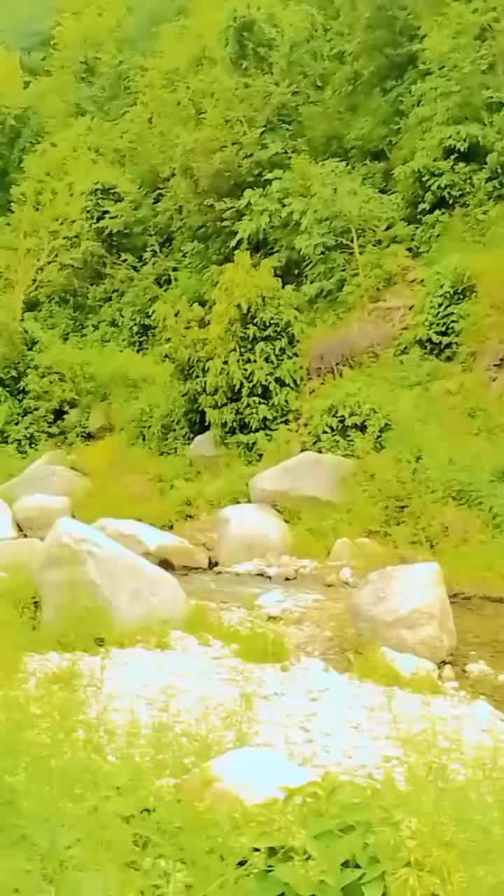 @sayad:::khan—":900
