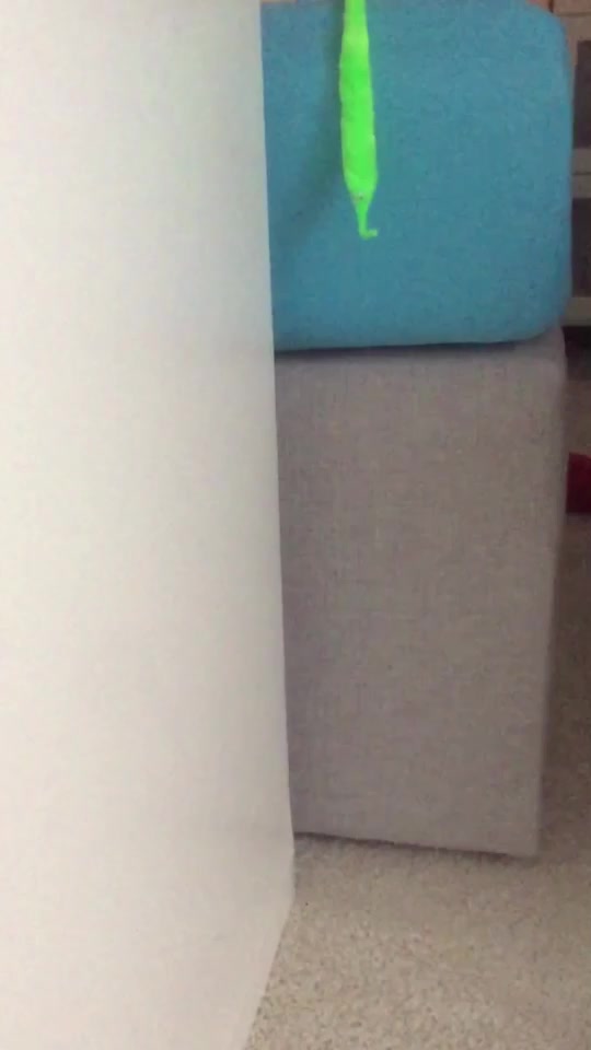@Jürgen💚👋