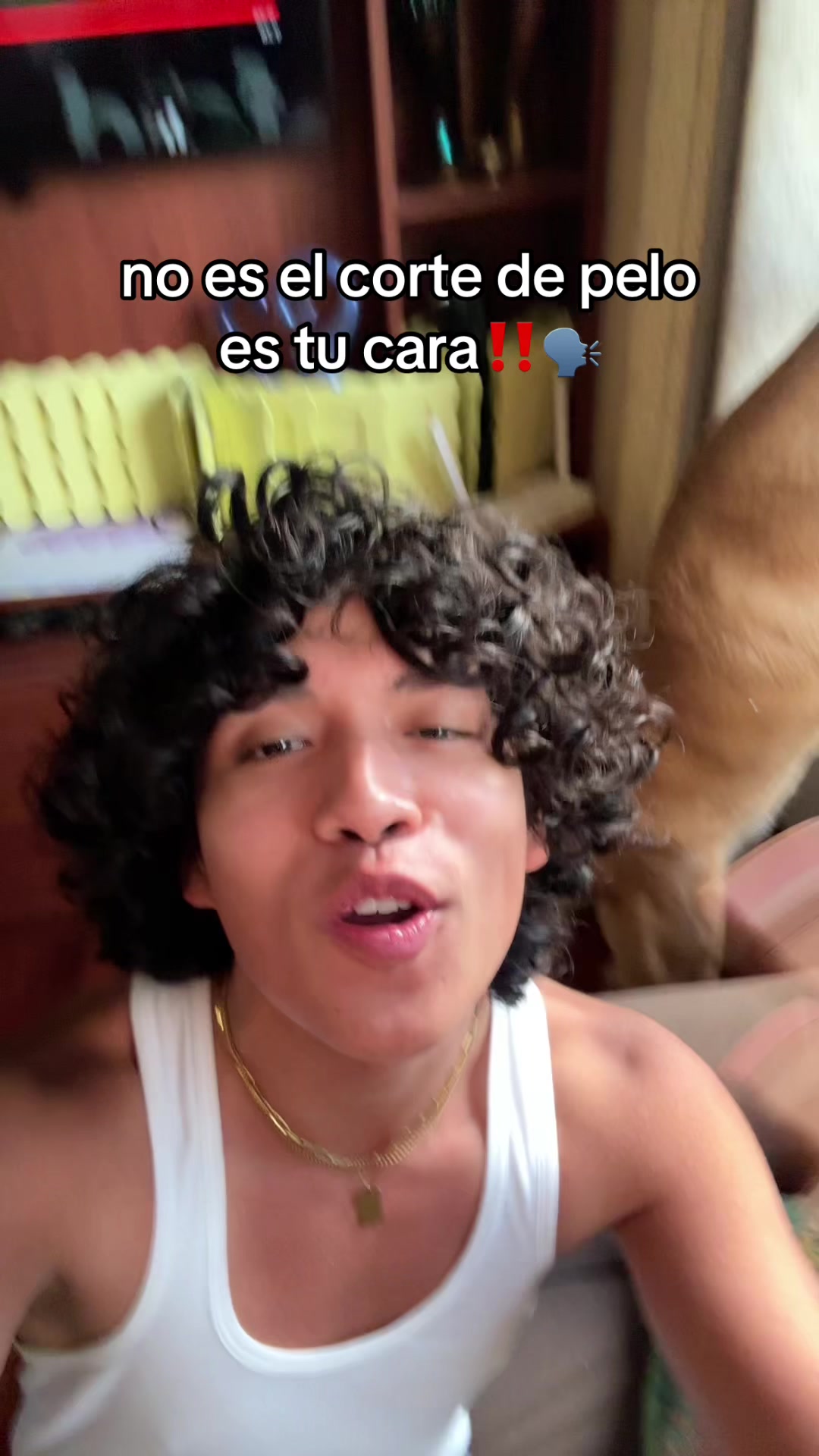 @ReNZo ReTTiS