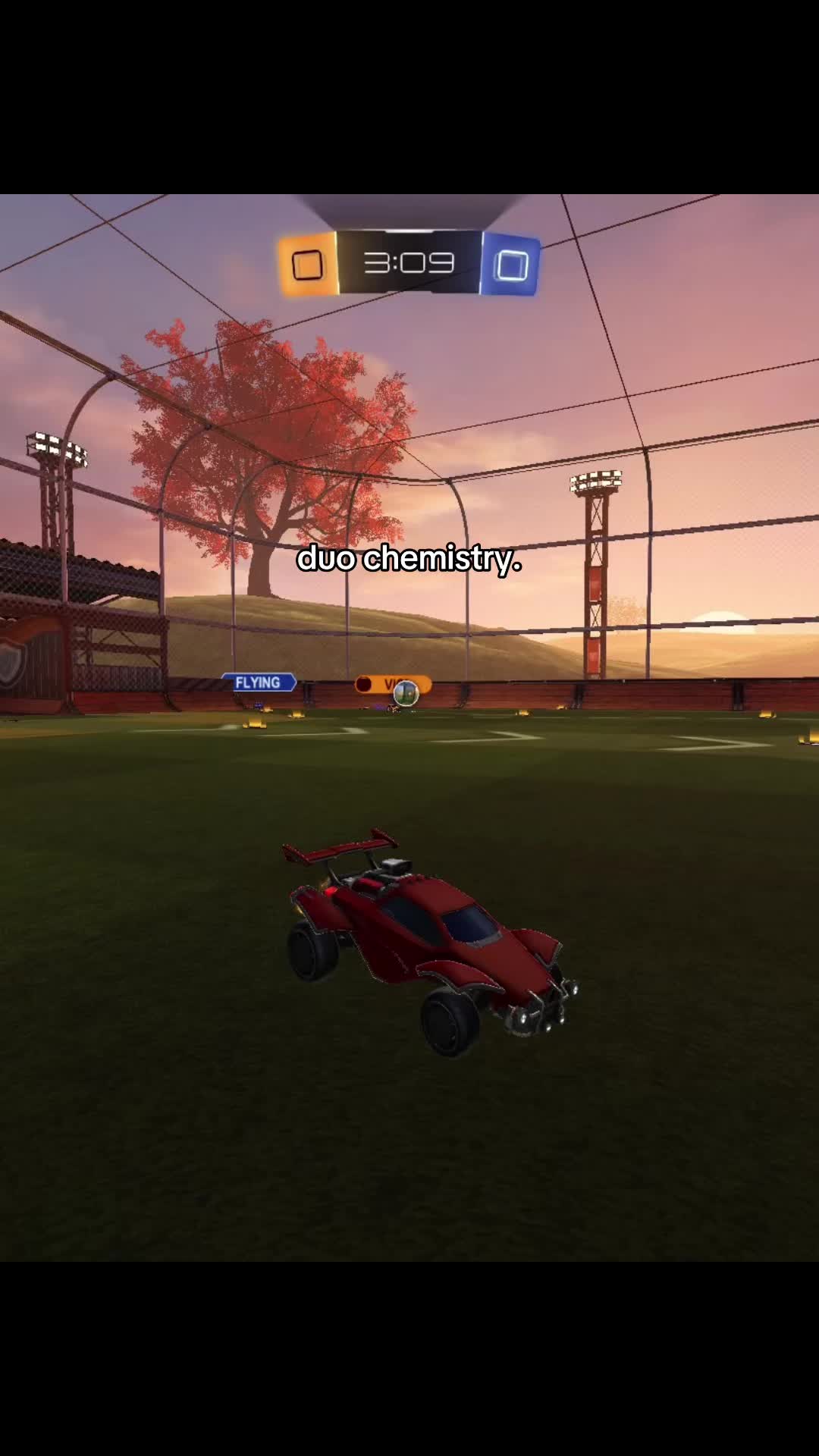 @roruz