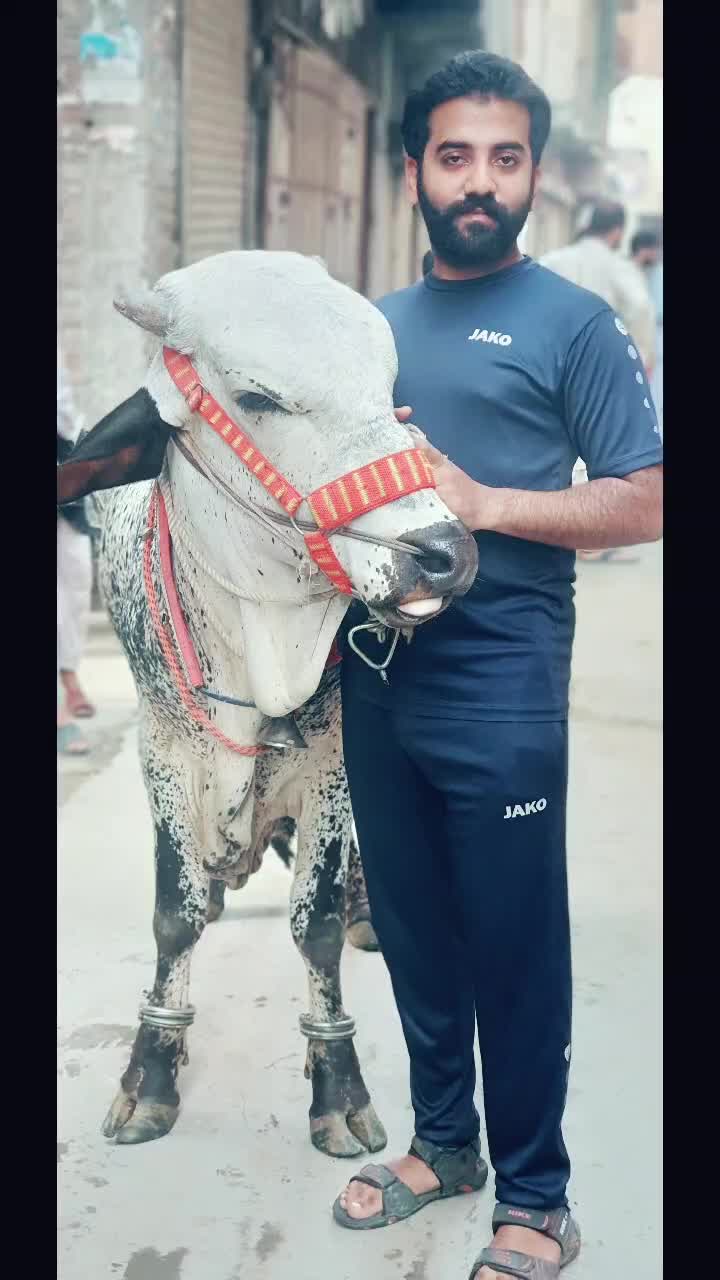 @Malik Asad Afzal