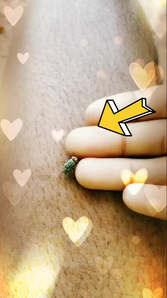 @♪♪2ꝁ ꝁɨđs ɇmø ƀøɏ♪☆