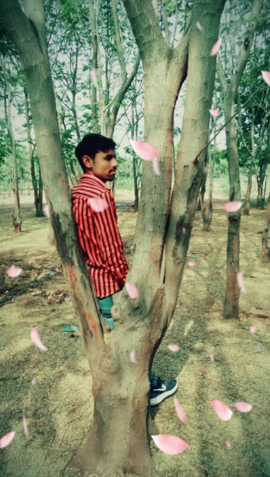 @Manish_bharwad_👑👑
