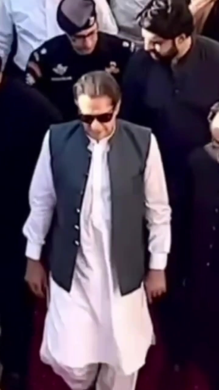 @Cornered Tigers