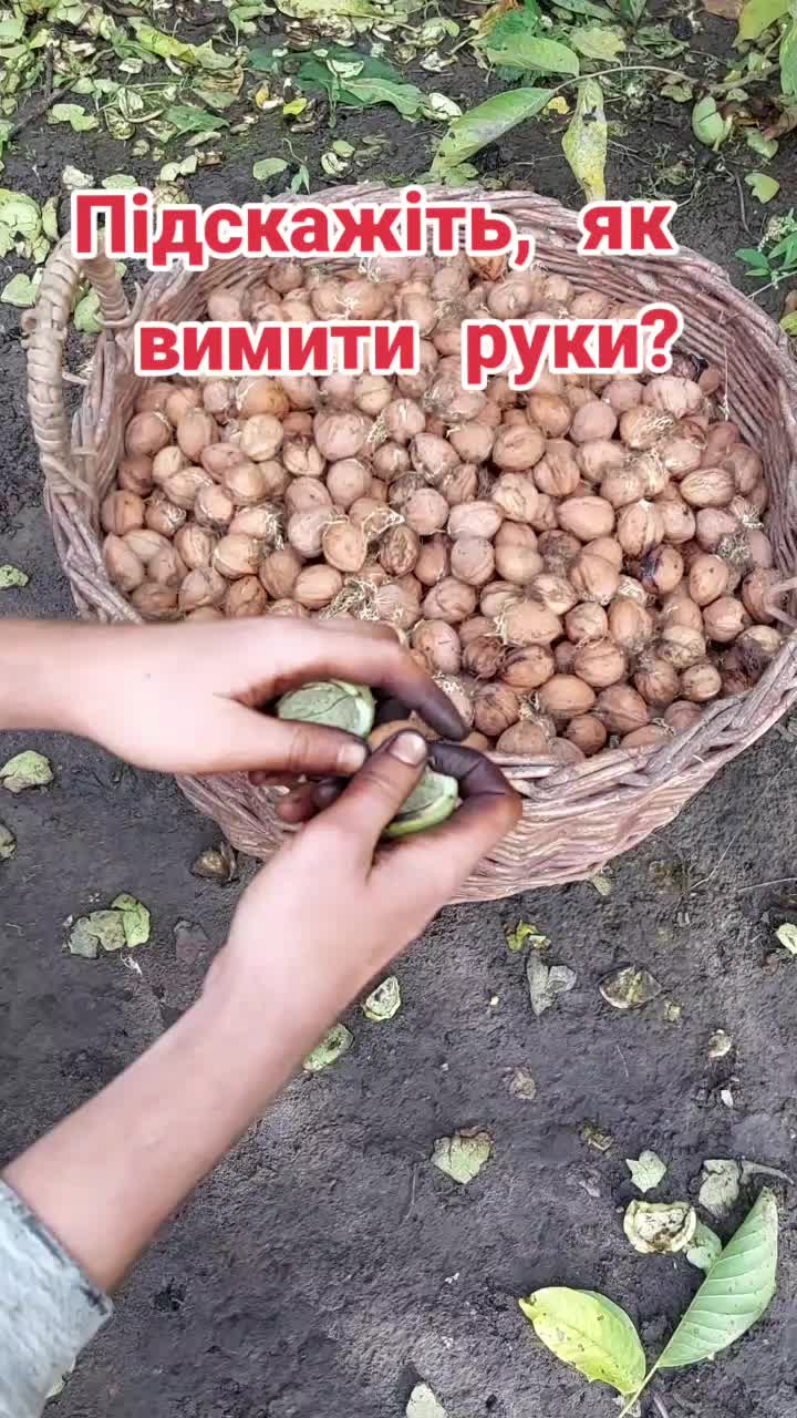 @BaraholkaUKRAINE