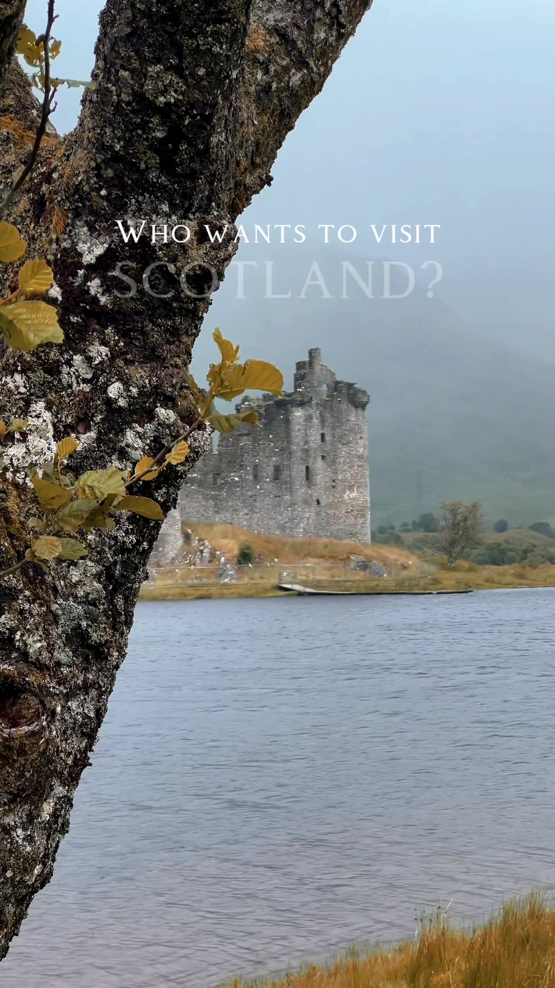 @John Murray - Scotland
