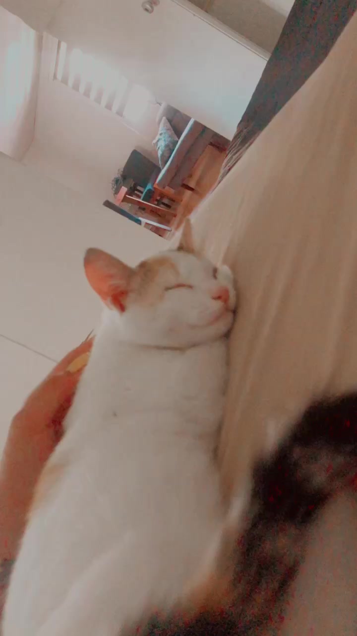 @๐๐โ๐๐ธ๐