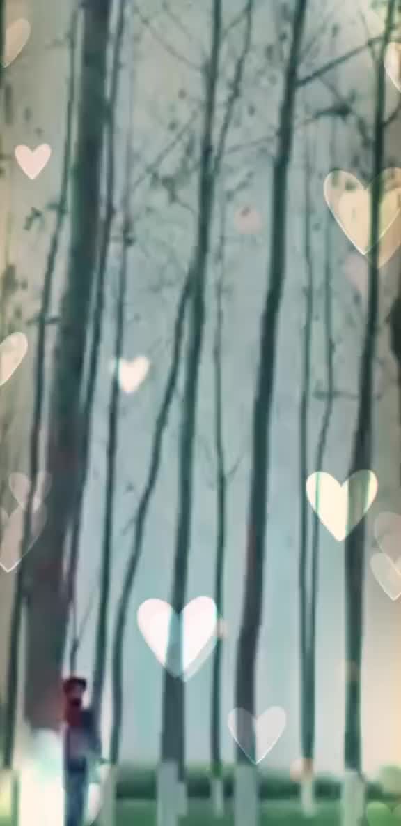 @Sakshi Rajput ❤️❤️