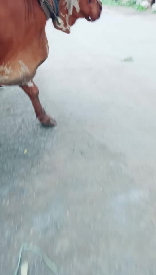 @hemant... Koli.223