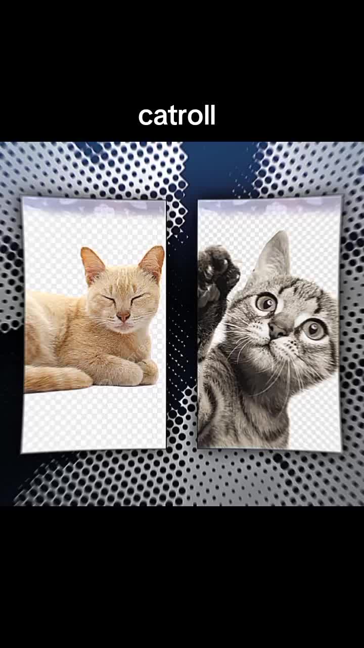 @๐๐คูญ*banana_catunne*ูญ๐ค๐ง