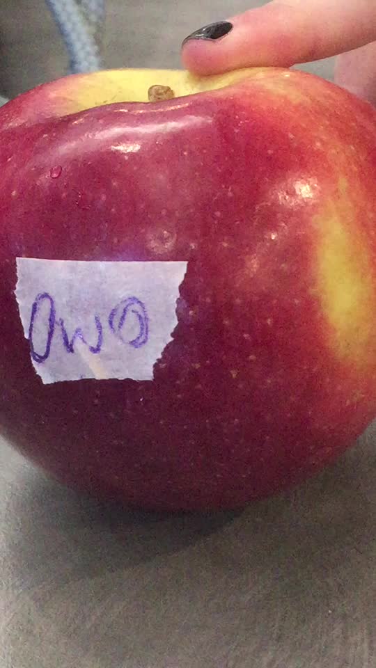 @⋆&sdot; ғ ᴇ ʀ ɴ &sdot;⋆