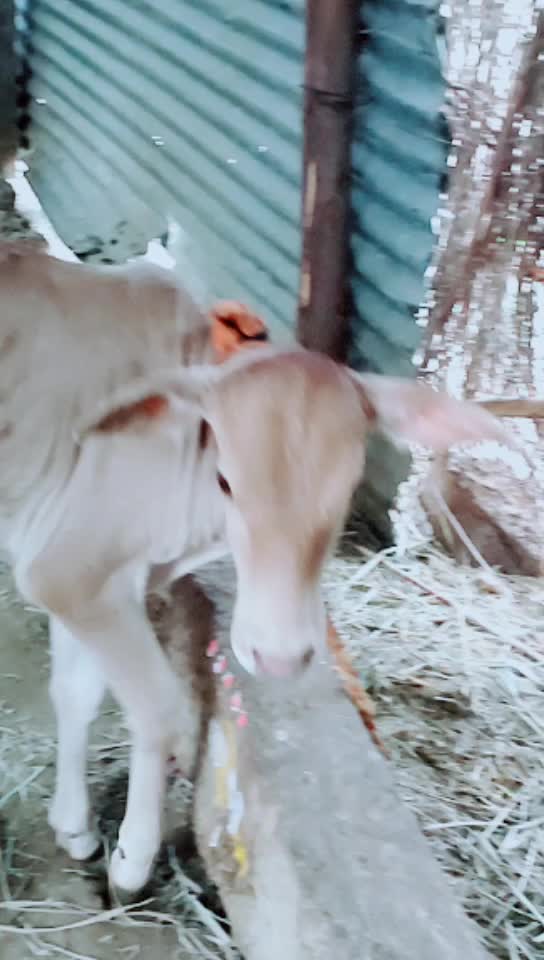 @thirupathaiah