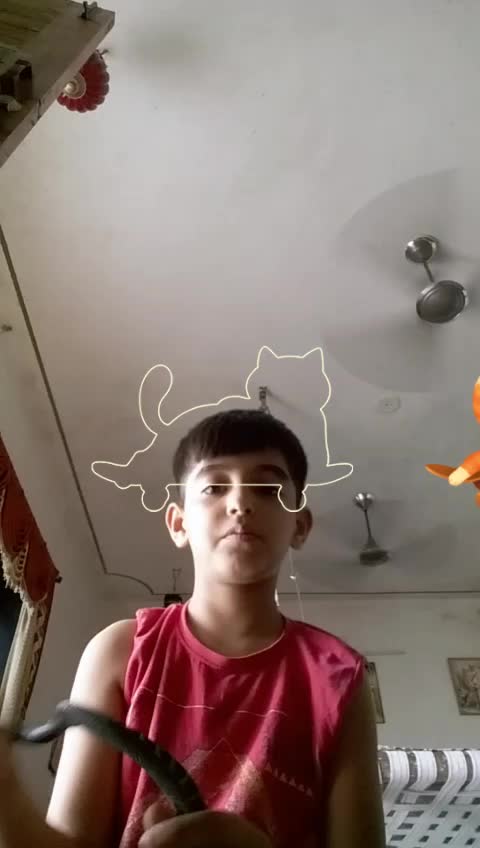 @Rajubhai Khachar