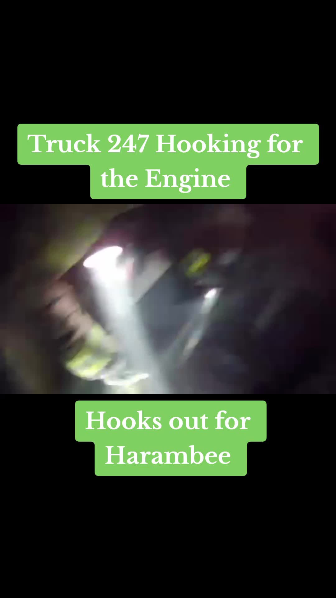 @Berkeley Hills Fire Co.