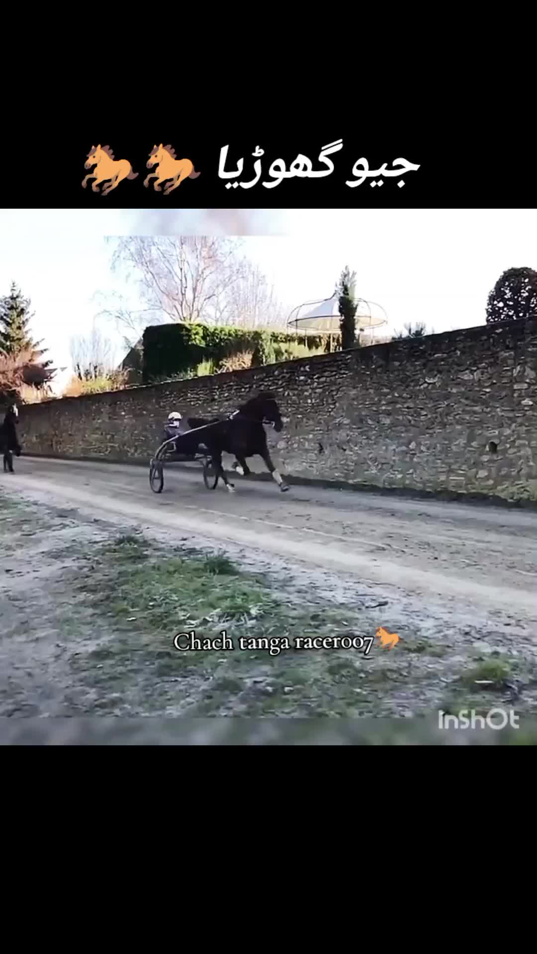 @Chach tanga racer007🐎
