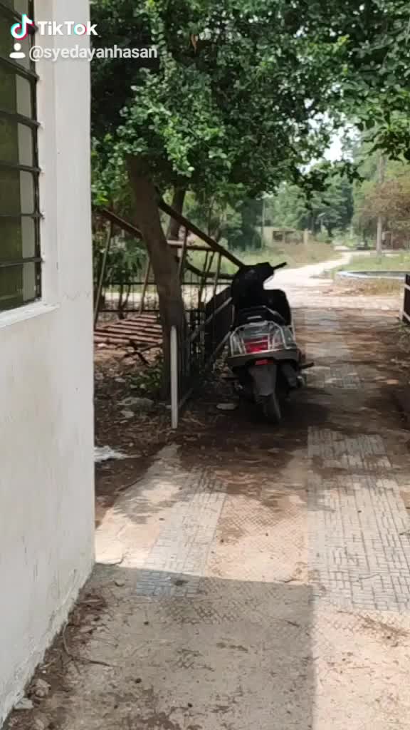 @Syed Aman Hasan