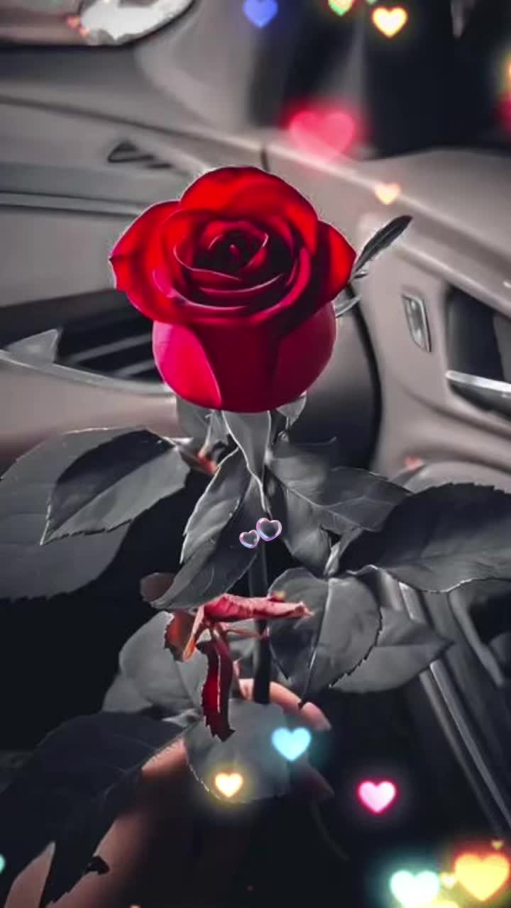 @Leo โ๏ธ โ๐ป๐650