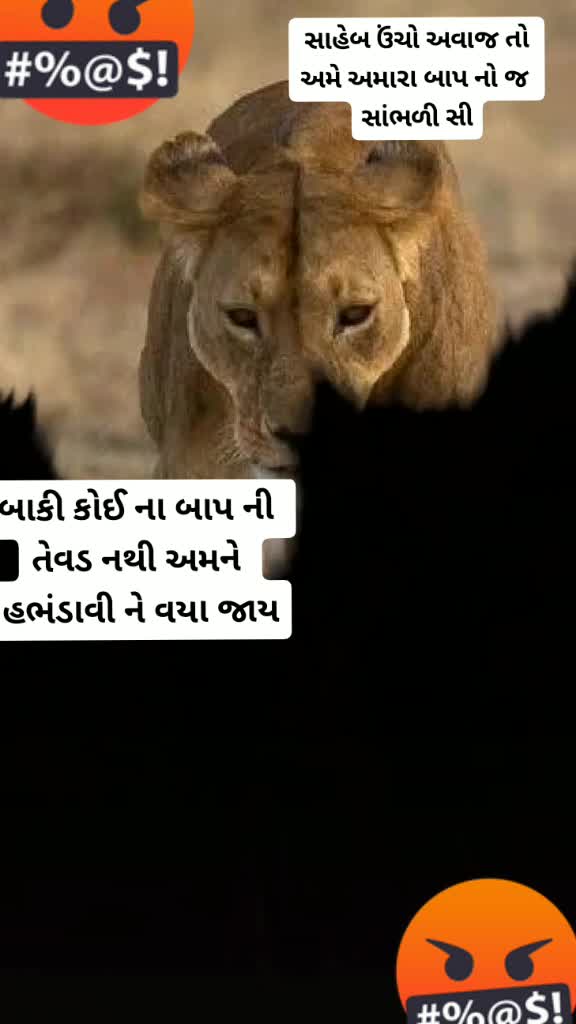 @gandi_gir_ni_sihan