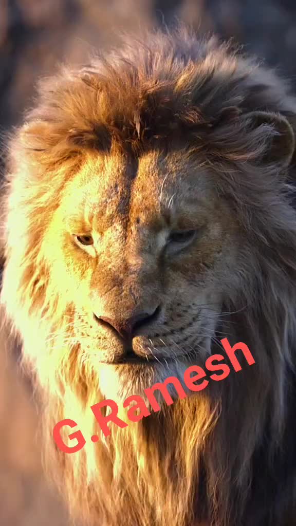@user565240