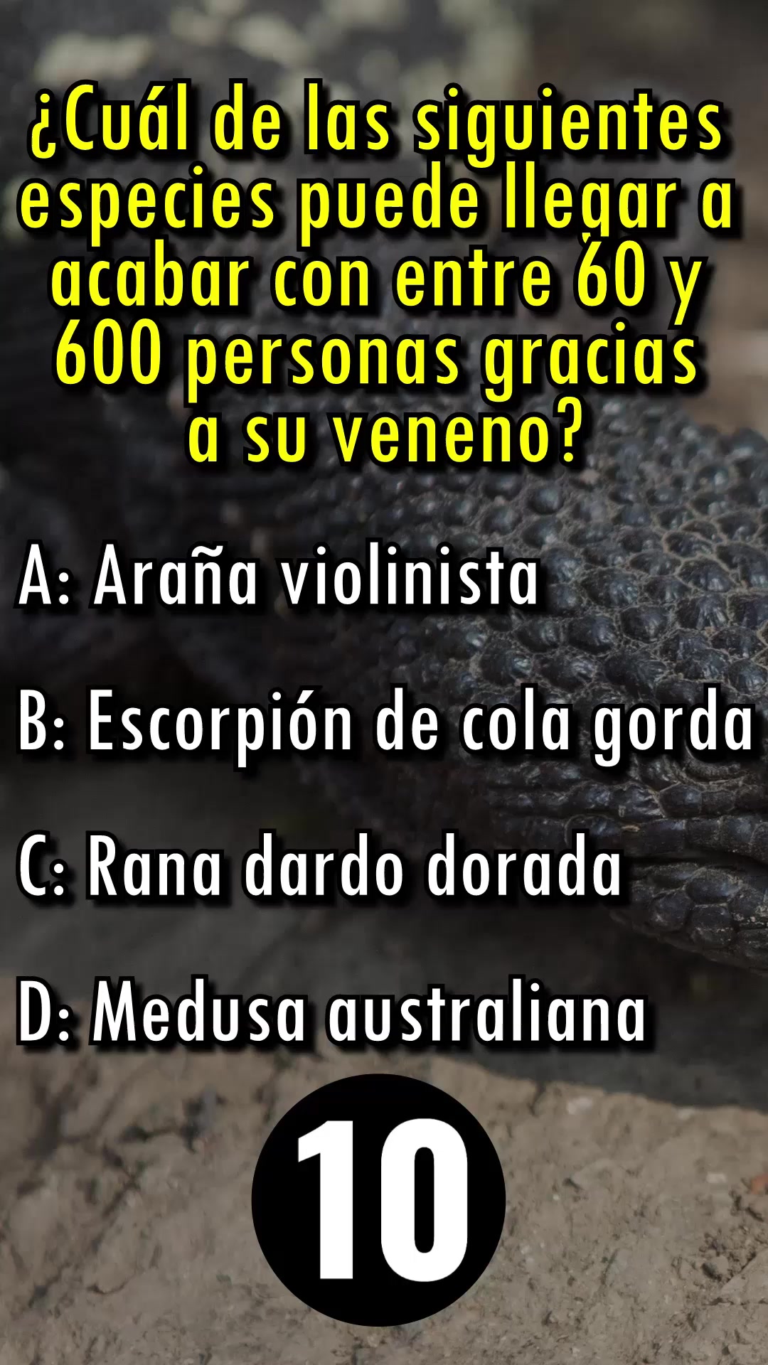 @Leguna Mental Oficial