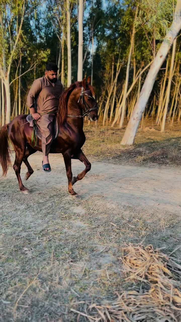 @ارسلاان عزیز بٹ کڑیانوالۂ