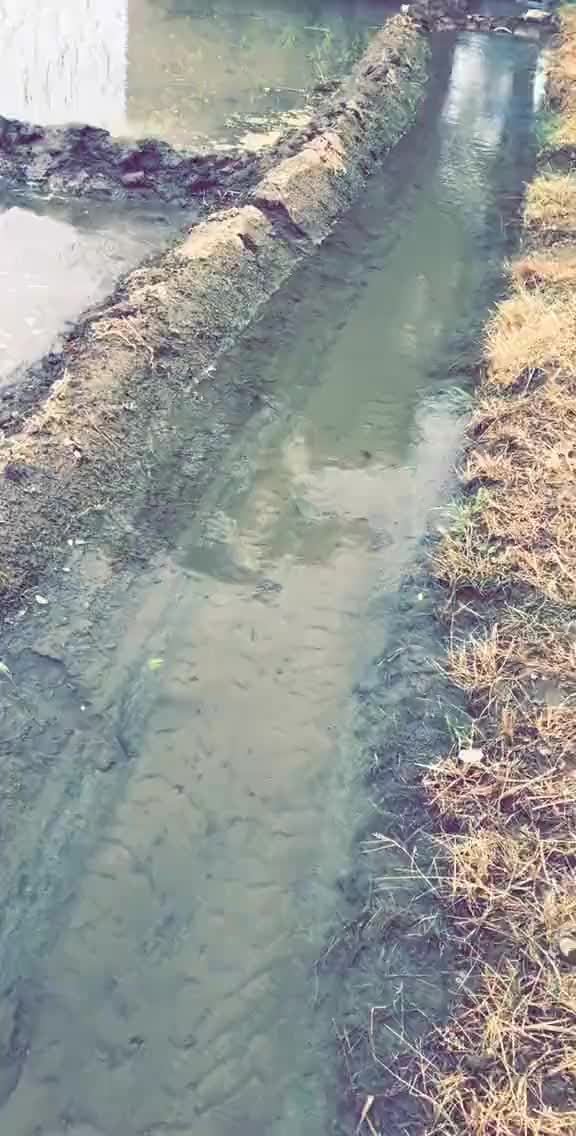 @AMAN (ਮਠਾੜੂ)