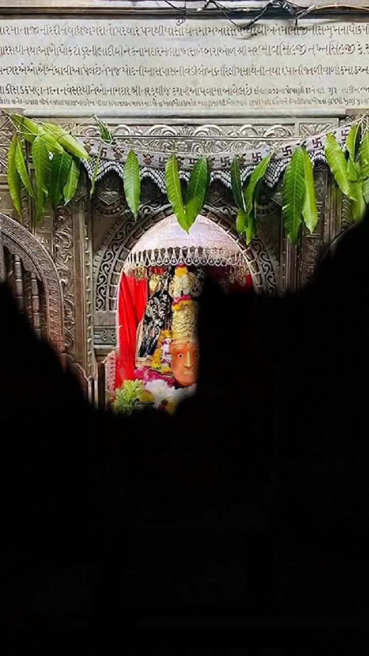 @digbhabharoli076
