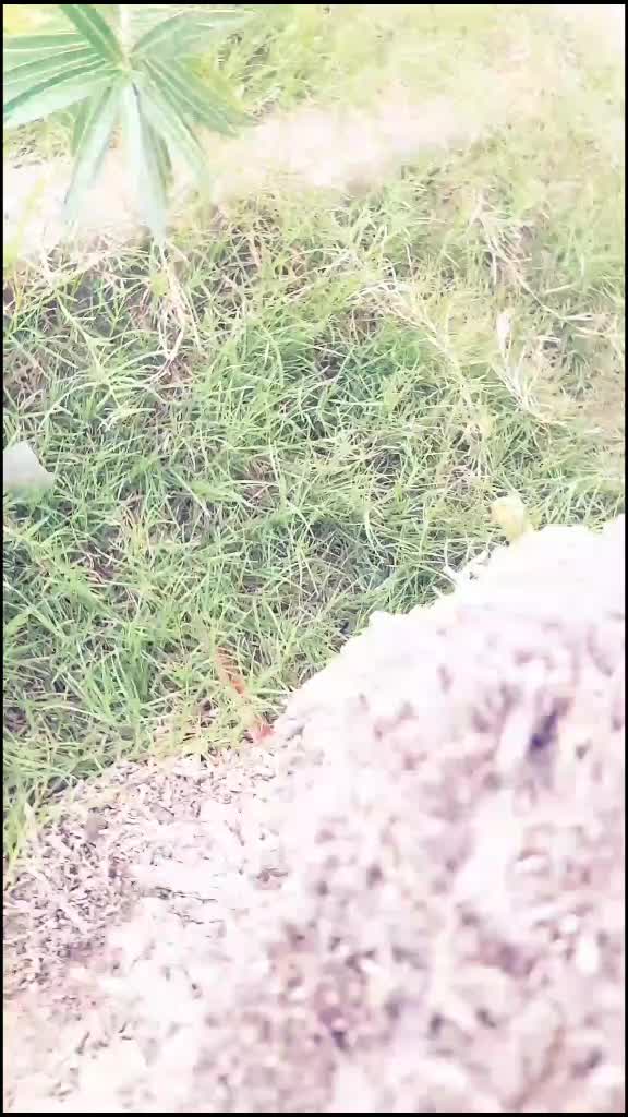@💝कुरुक्षेत्र💝