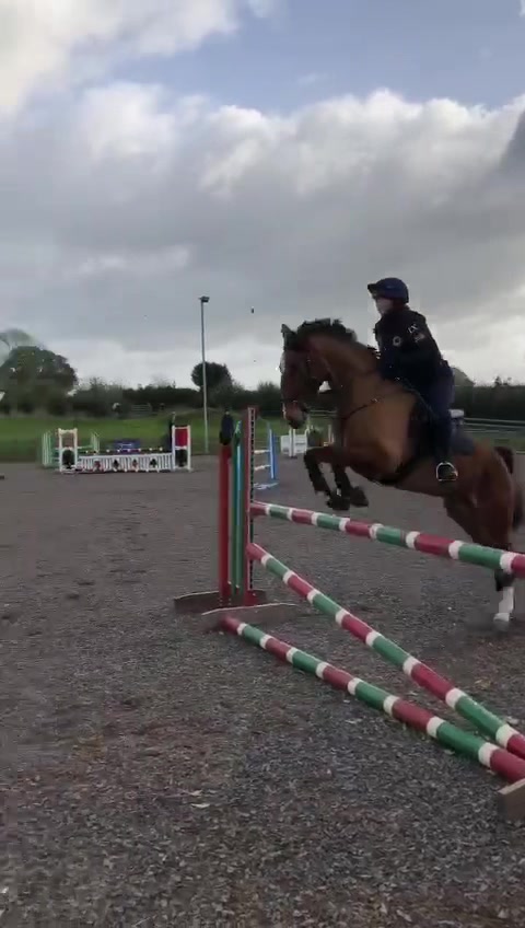@ypequestrian