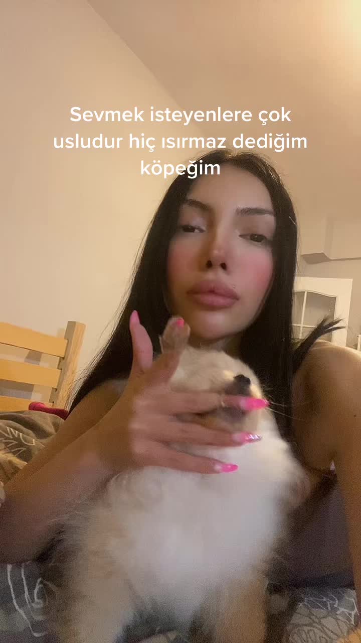 @user19641308219