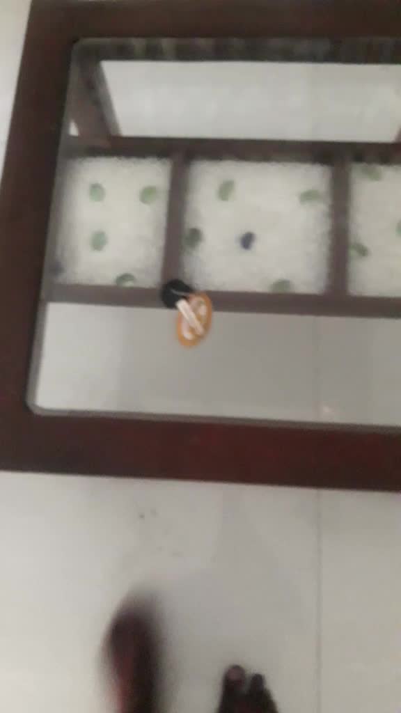 @(????????)$