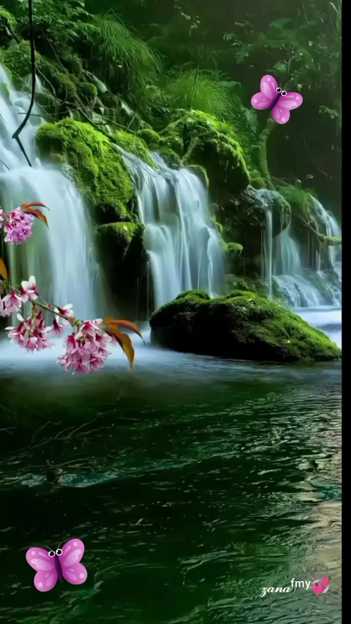 @๐ธ๊งโก๏ธโ๐๐๐7๐๊ง๐ธ