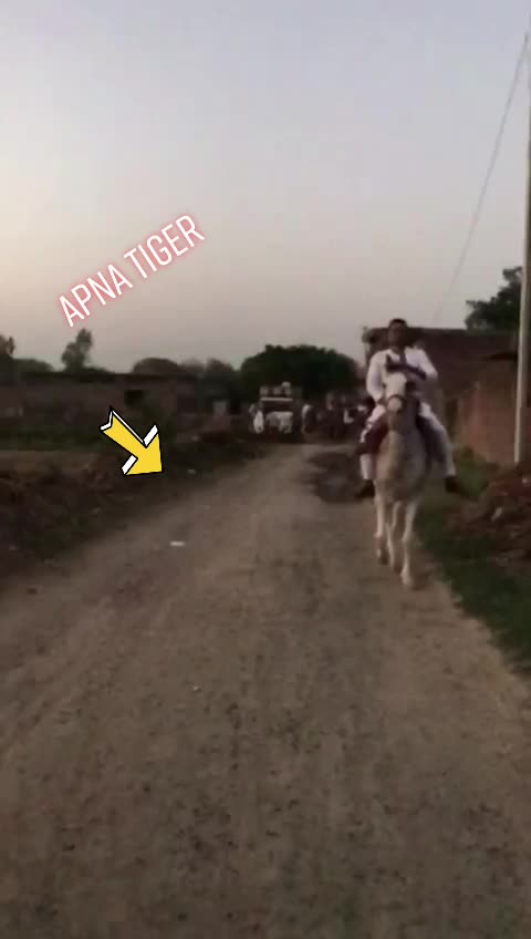 @Chaudharyzubairhamad