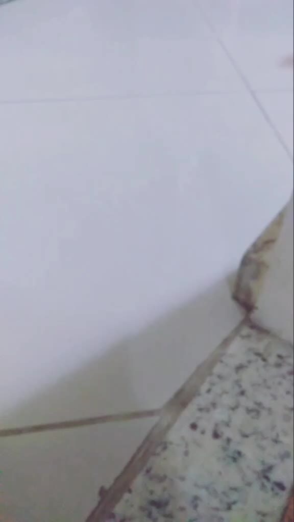 @Draw !¡