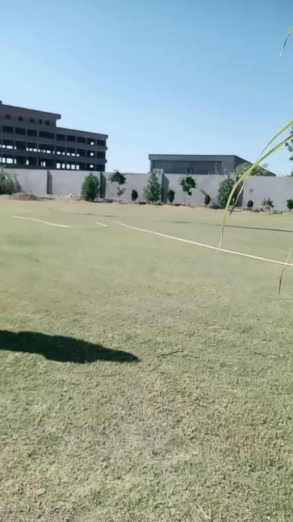 @Angel Solanki