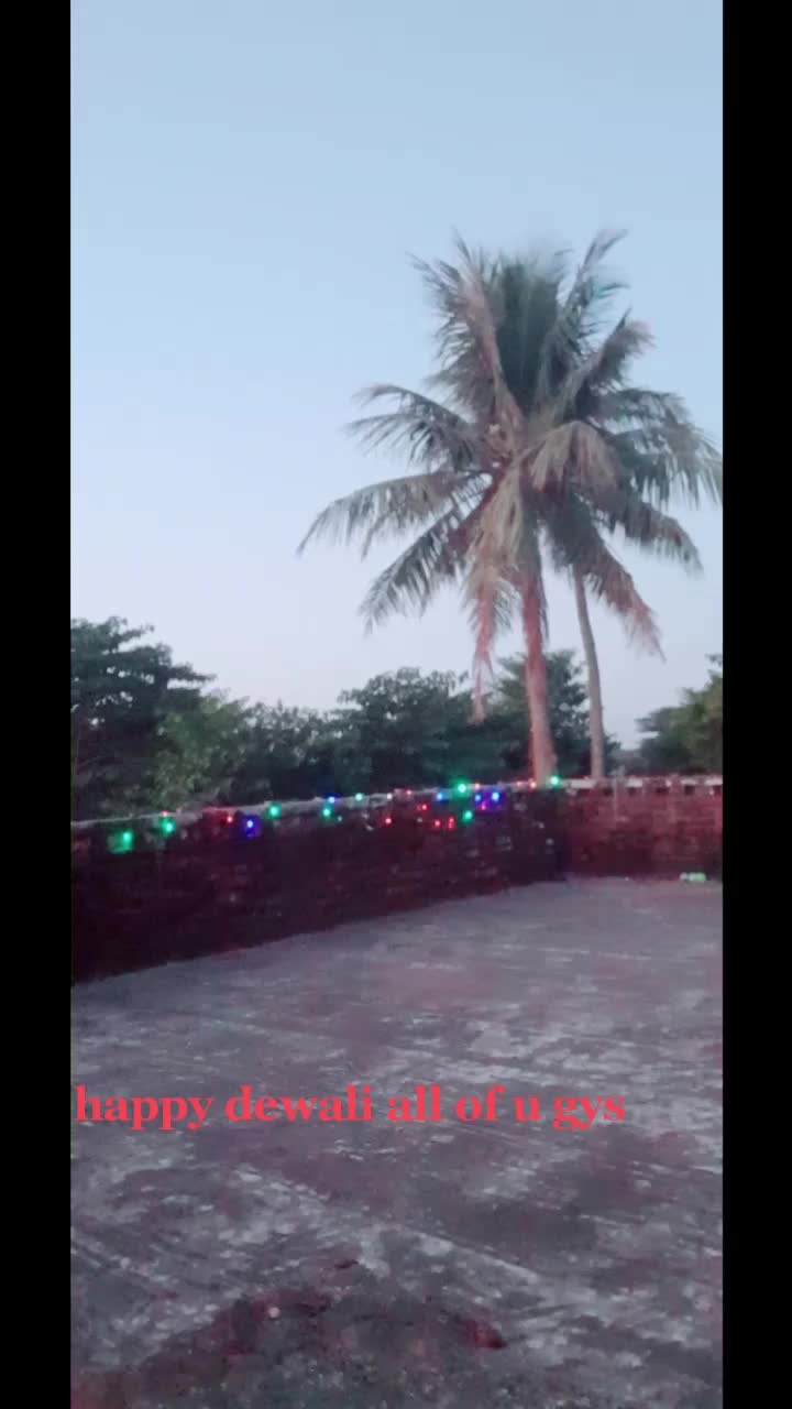 @user9956582472686