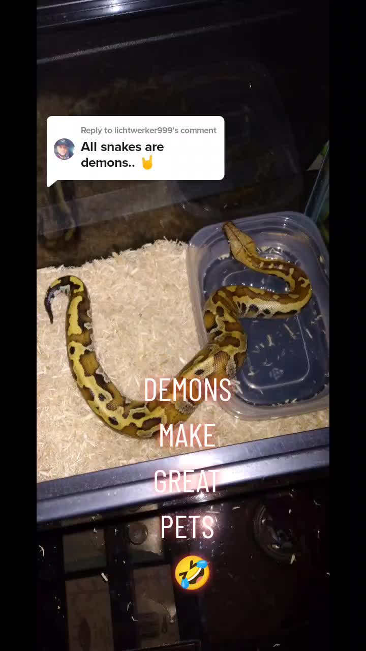 @demonmagick