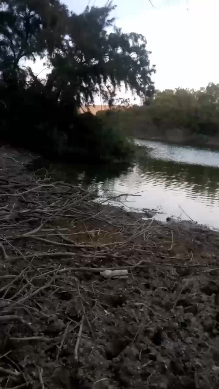 @نمرود 🇹🇳🇷🇺