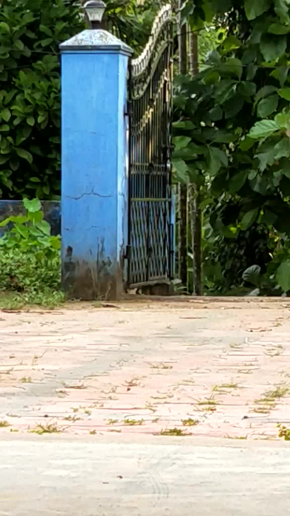 @Harikrishnan K B