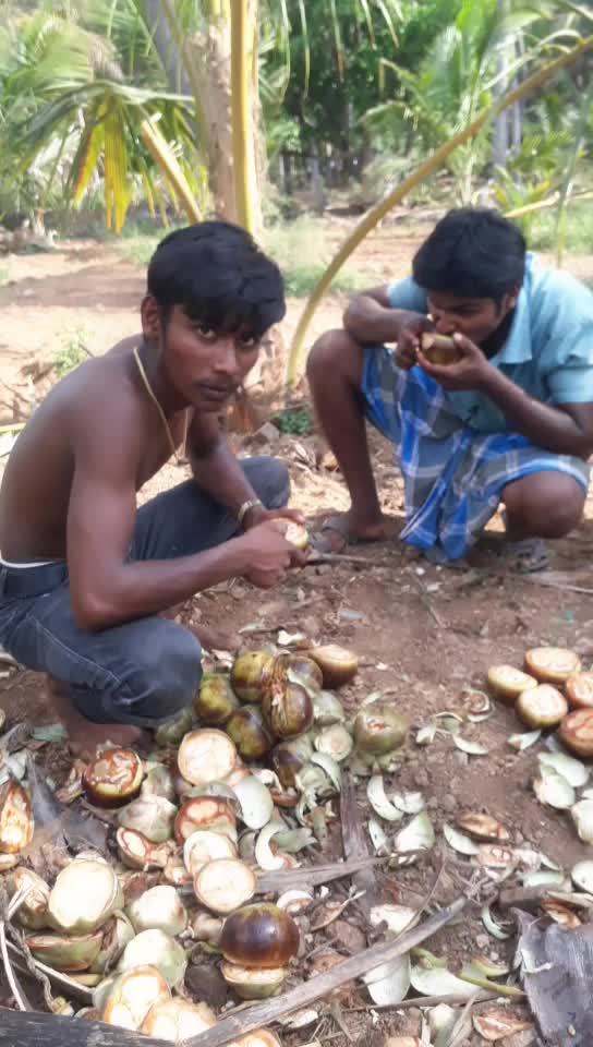 @Arichandran K647