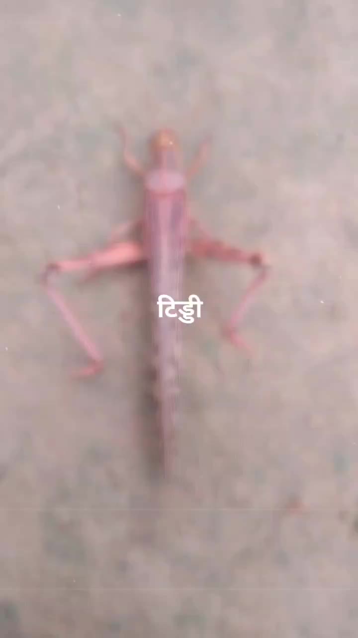 @Sunny Kumar