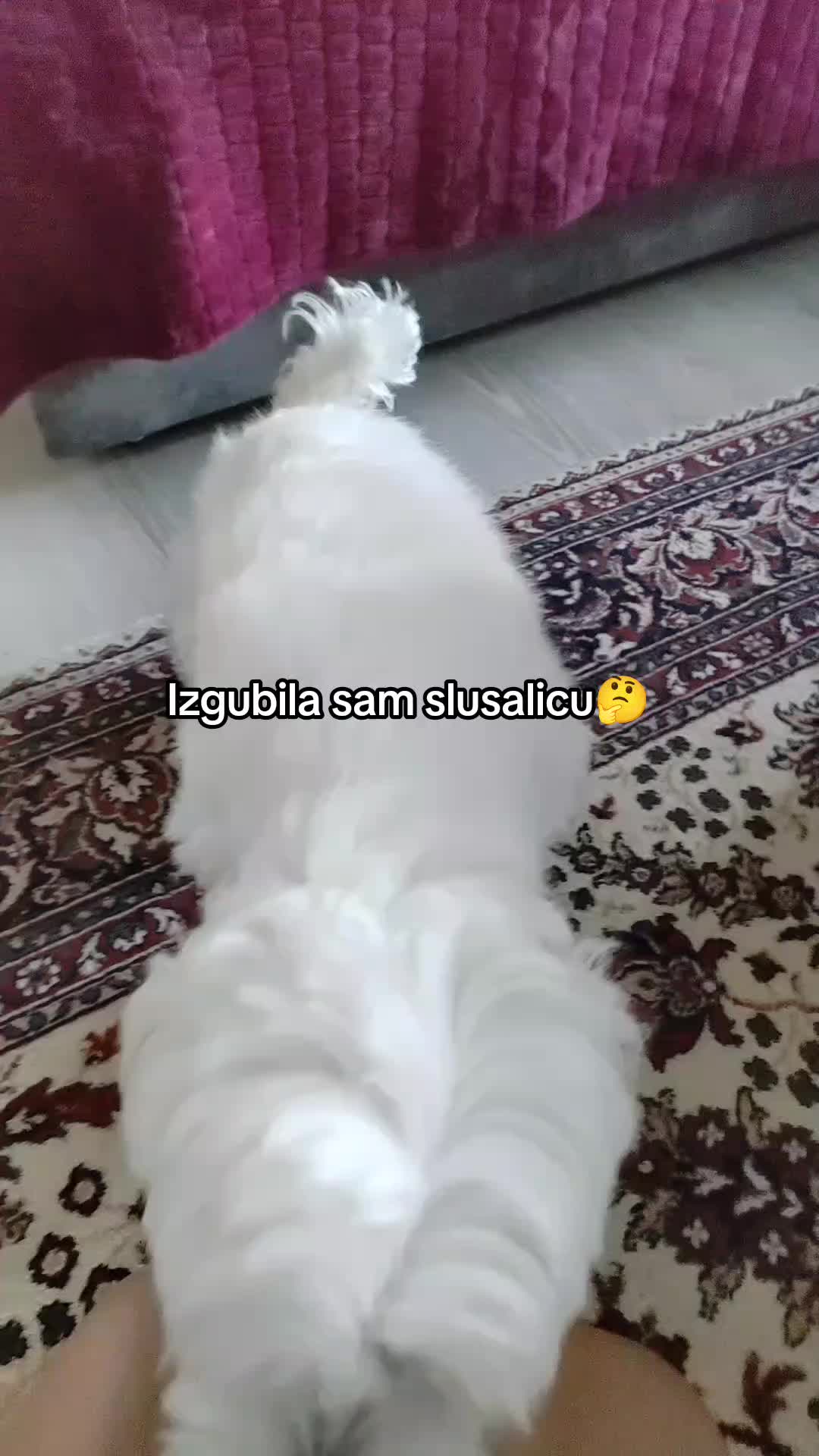 @Ale🍓