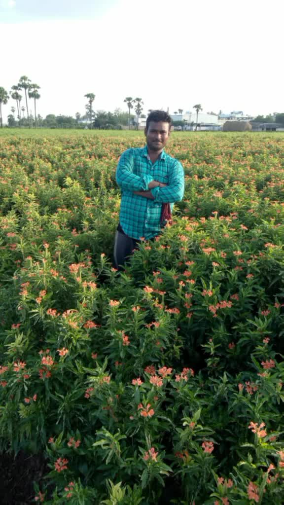 @kartik bomminenni