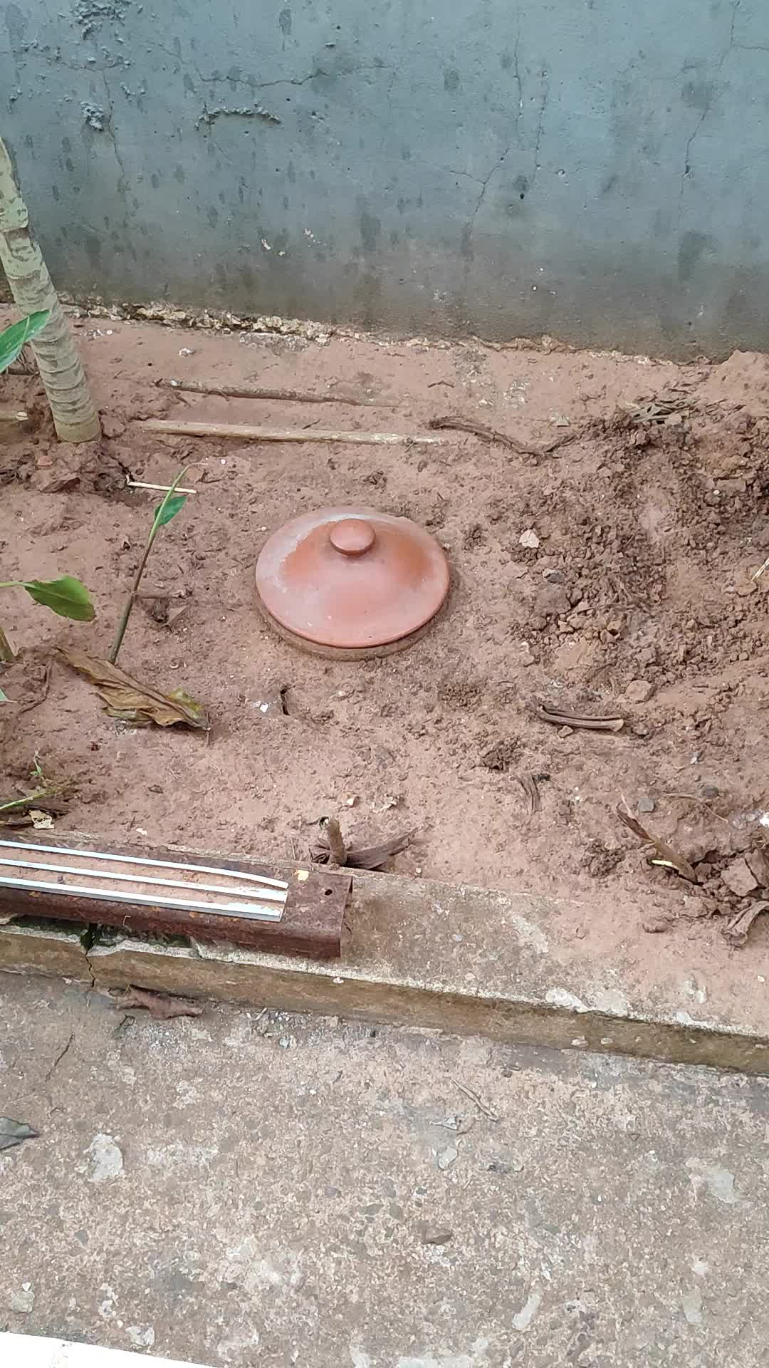 @Babá Weber de Ogum