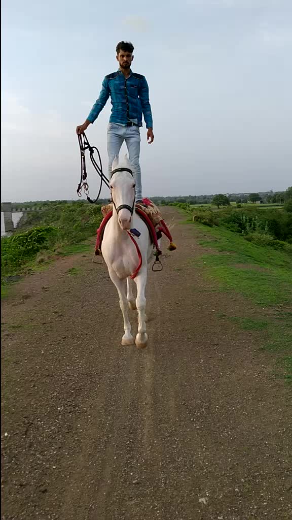 @Prakash Rathod