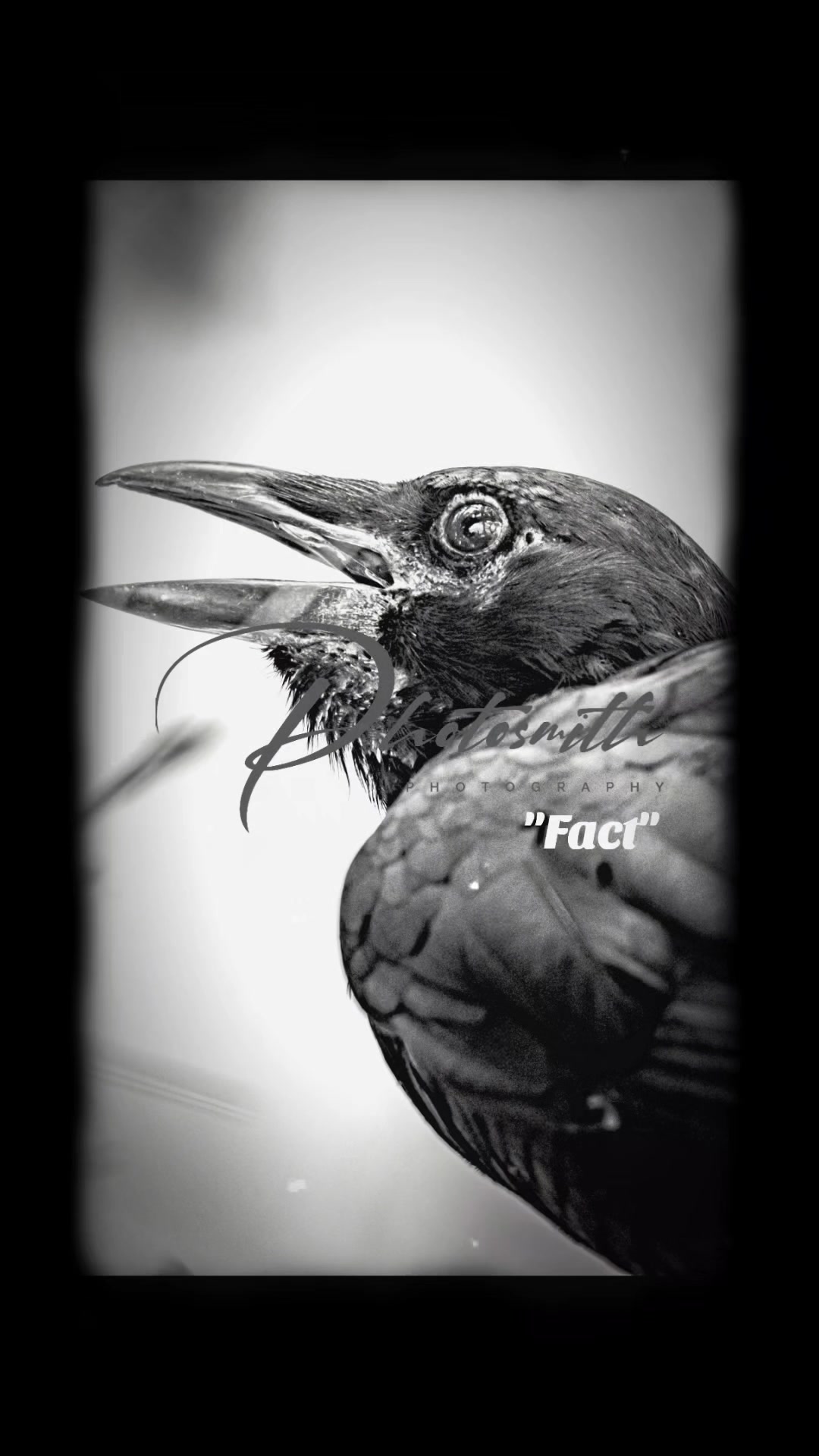 @Photosmith