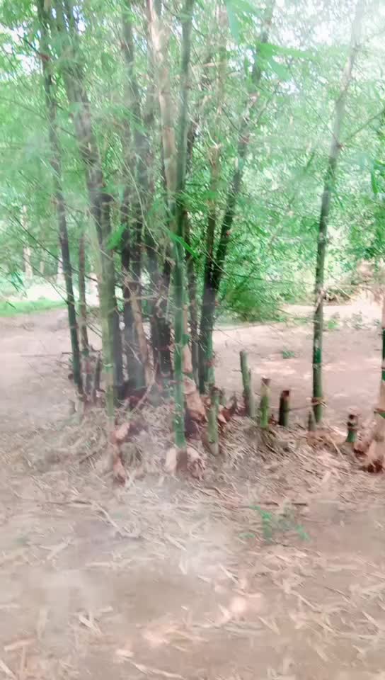 @alok jena us