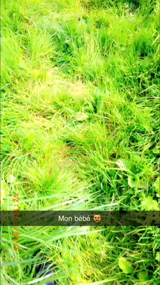 @😈Brune brune new😈