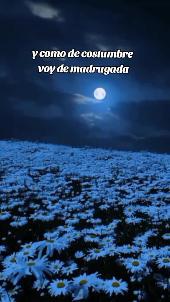 @chica hermosa 😍😎😎